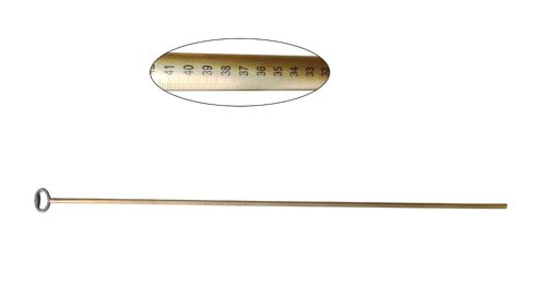 ���ֳ� ����܇���