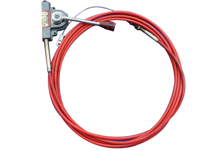 ���T����